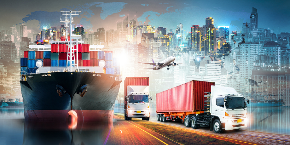 Import Export Consultant: Role and When to Hire